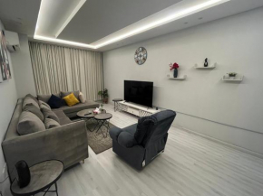 Luxury Apartment